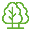 Forest Stewardship Council (FSC®)